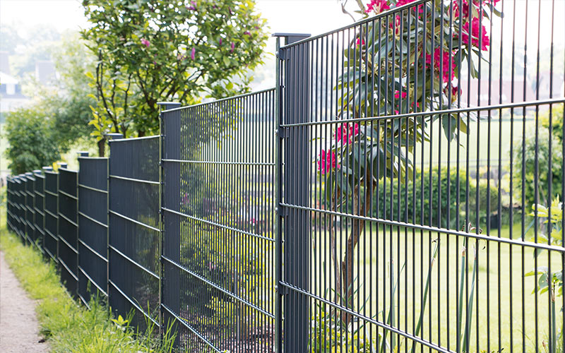 zd8_base_05_366376917_800x500