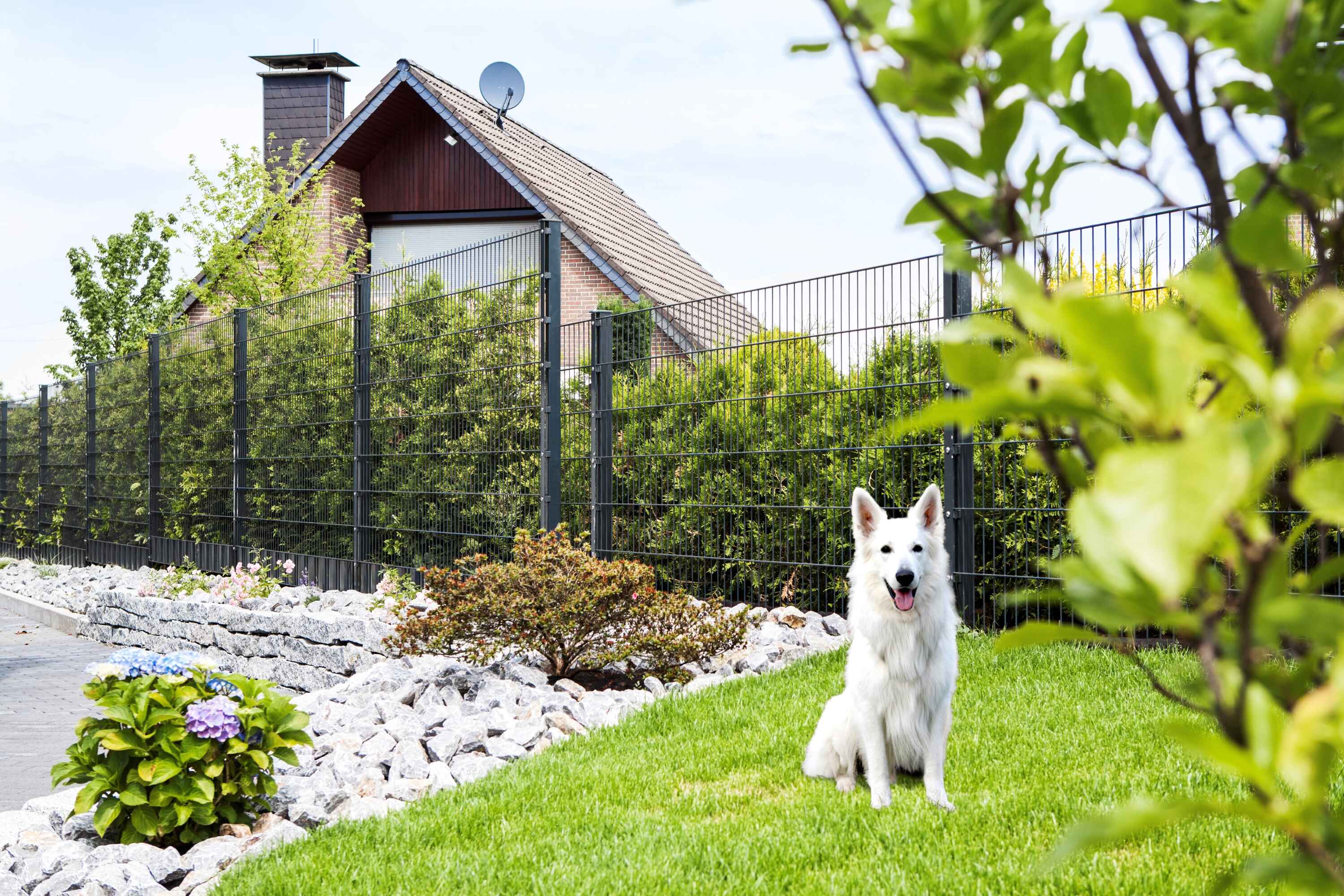 deutsche-zauntechnik_Ressource_Zaun_fuer_Tiere